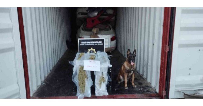 Mersin Limanı’nda 5 kilo 800 gram skunk ele geçirildi