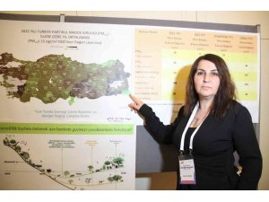 İstanbul’da, Esenyurt, Bağcılar ve Tuzla’da hava kirliliğine bağlı Covid- 19 daha etkili