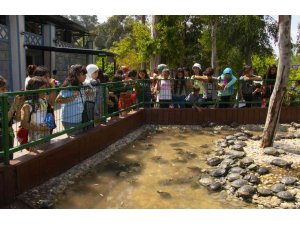 Kent Turu Projesinin sınırları genişliyor