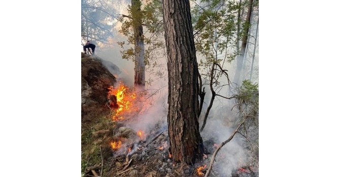 Antalya’da orman yangını