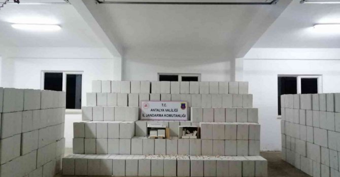 Antalya’da kaçak makaron taşımacılığına jandarma baskını