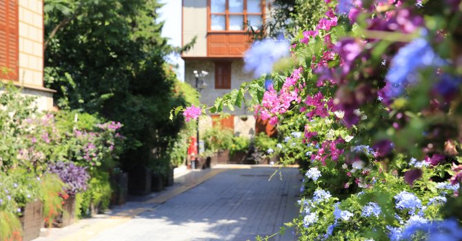 Büyükşehir’den Kaleiçi’ne renk cümbüşü