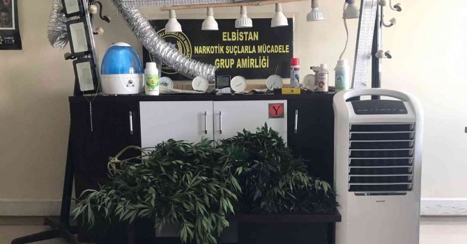 Klimalı seraya çevirdiği banyoda 4 mevsim uyuşturucu yetiştirmiş