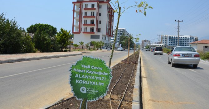 Alanya Gazipaşa Caddesi güzelleşti