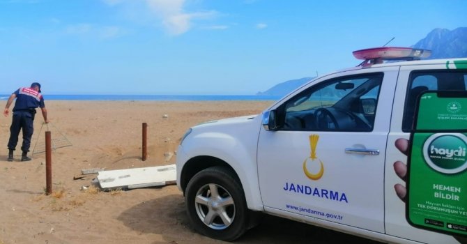 Carettaların yuvalama alanına araçla girdi