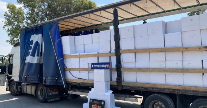 Mersin’de 10 milyon boş makaron ele geçirildi