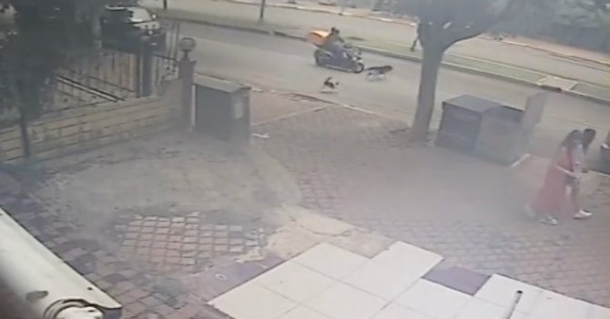 Kediden kaçan köpeğe motosiklet çarptı, o anlar kameraya yansıdı
