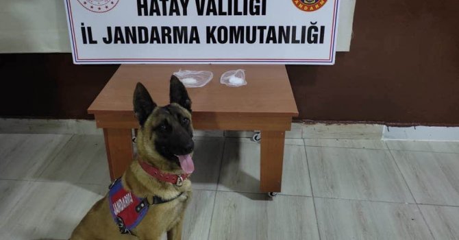 Hatay’da uyuşturucu operasyonu: 5 gözaltı