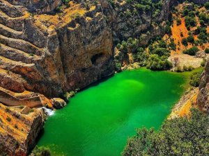 Kartalkaya Barajı doğaseverlerin ilgi odağı oldu