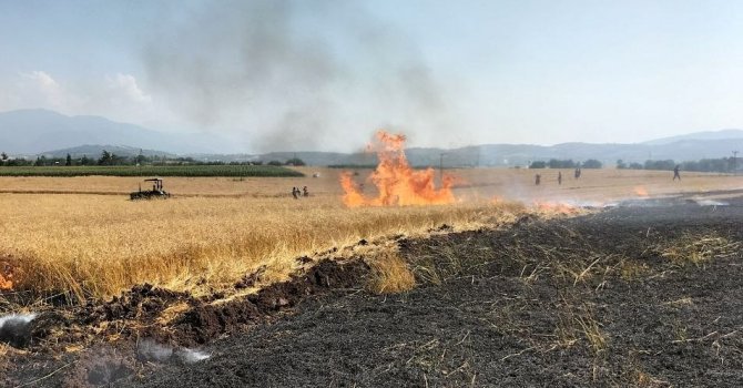 Osmaniye’de 10 dönüm buğday tarlası yandı