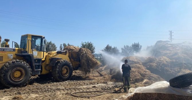 Manavgat’ta besihanede 3 bin ot balyası yandı