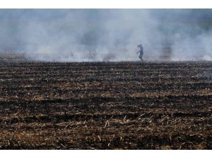 Doğan: "Sürdürülebilir tarım için anız yakmayın"