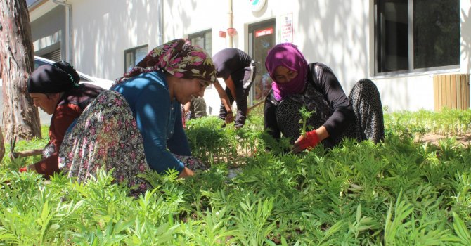 Her şey güzel bir Kepez için