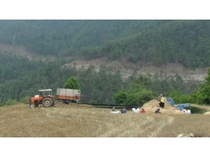 Orakla biçiyor, patozla harman çekiyorlar