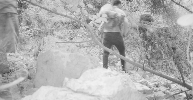 Yaban keçisi avcılarına 155 bin TL’lik ceza