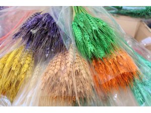 Kuru çiçekte ithalatı ihracata çevirdi