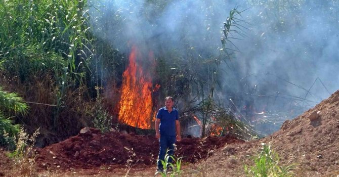 Yangında çıkan sese uyanıp sokağa döküldüler