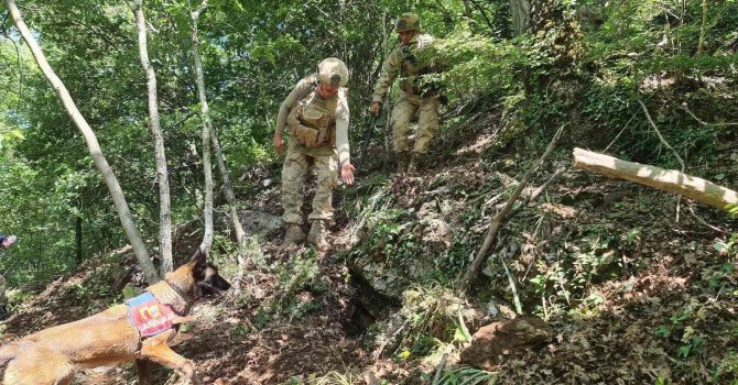 Hatay’da Amanoslar kırsalında tuzaklanmış patlayıcı imha edildi