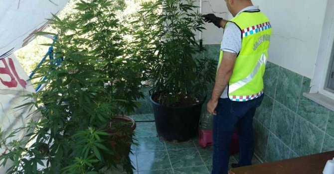 Balkonda branda ile perdelenen uyuşturucu jandarmadan kaçmadı