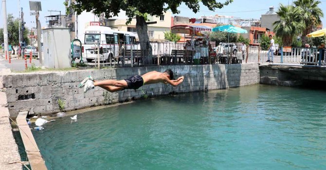 Polisler ölümleri engellemek için harekete geçti