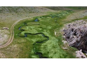 Her yerde yaz, orada bahar