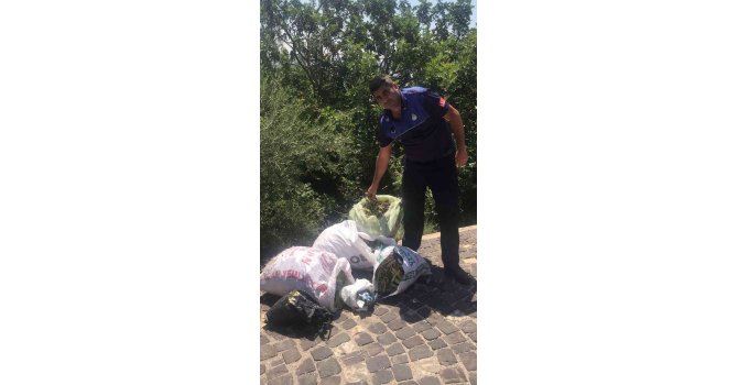 Kozan Kalesi’nde izinsiz harnup toplayanlar güvenliğe yakalandı