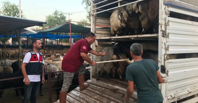 Daha fazla para kazanma vaadiyle elindeki hayvanlarından da olacaktı