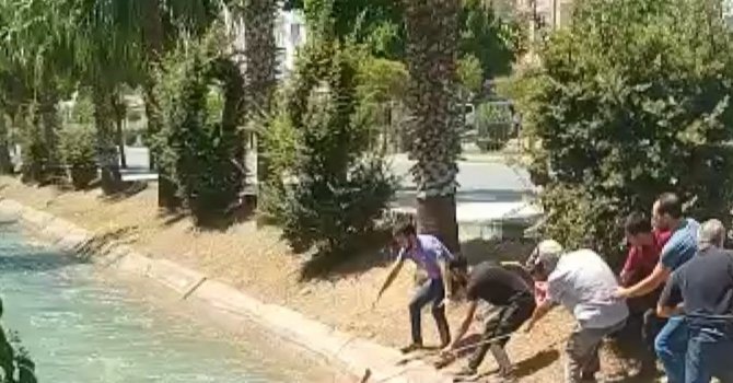 Kanala düşen çocuğu, gençler kurtardı