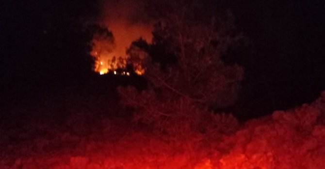Adana’da gece çıkan orman yangını kontrol altına alındı