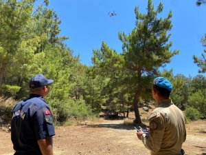 Mersin’de ormanlar askerlere emanet