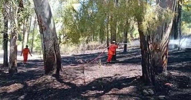 Serik’te orman yangını kontrol altına alındı