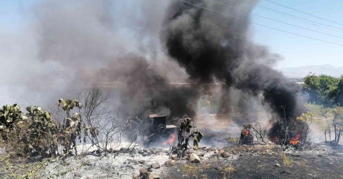 Elektrik tellerine çarpan kuş yangına sebep oldu