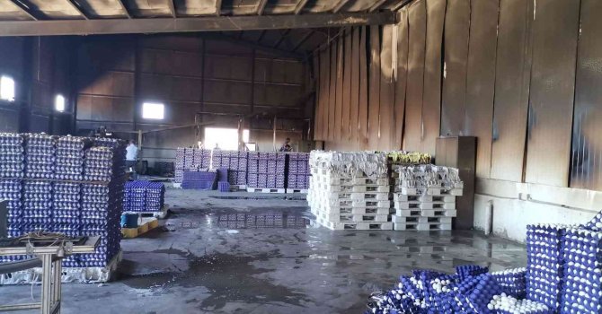 Kahramanmaraş’ta yumurta çiftliği yandı, 60 bin tavuk telef oldu