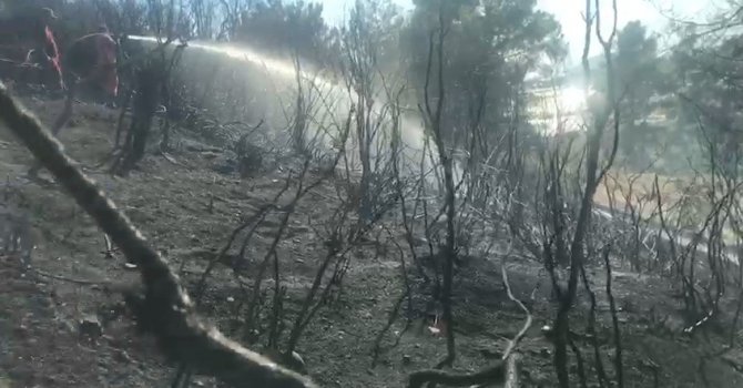 Serik’te çıkan orman yangını büyümeden söndürüldü