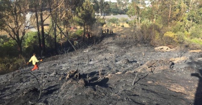 Anamur’da tarımsal alandaki yangın ormana 100 metre kala söndürüldü