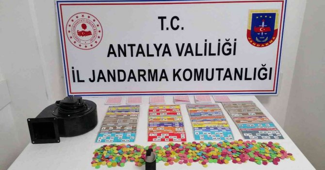 Jandarma kumarcıları suçüstü yakaladı, sandalyelerinden bile kalkamadılar