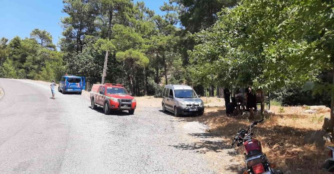 Keçiboynuzu hırsızlarını vatandaşlar yakaladı