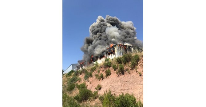 Osmaniye’de katı atık bertaraf tesisinde yangın