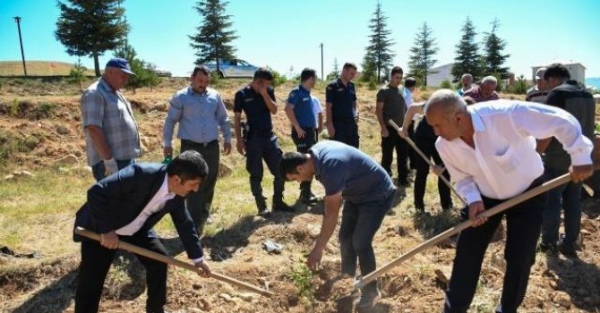 Tufanbeyli’de 15 Temmuz’da fidanlar toprakla buluştu