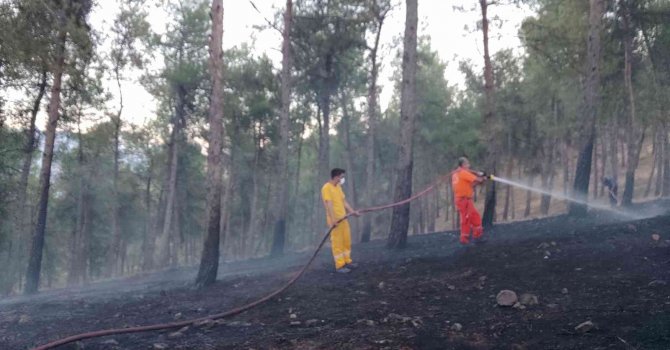 Kırıkhan’da örtü yangını