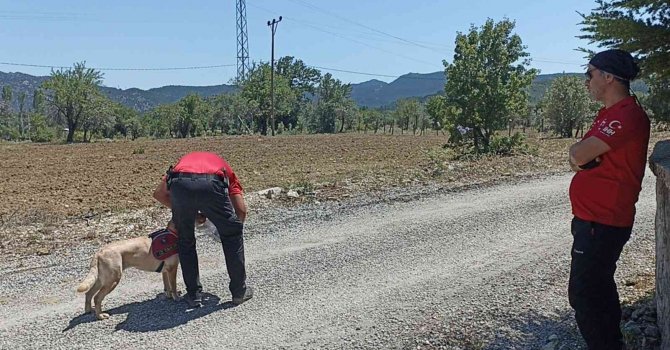 Antalya’da kayıp yaşlı kadını arama çalışmaları 6’nci gününde sürüyor