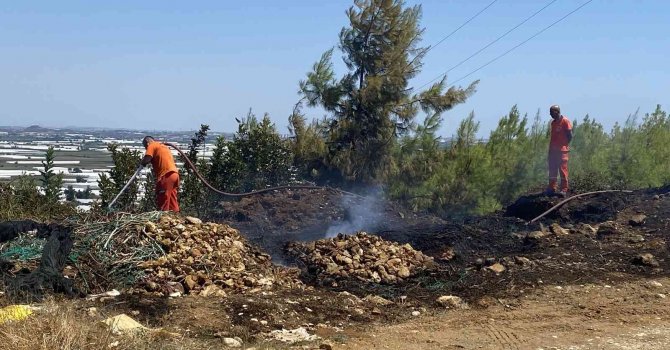Antalya’da ormanlık alanda çıkan yangın korkuttu