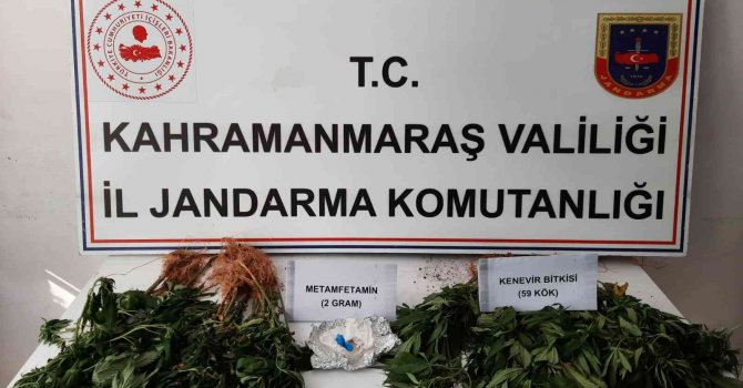 Kenevir ve sentetik uyuşturucu operasyonunda 1 gözaltı
