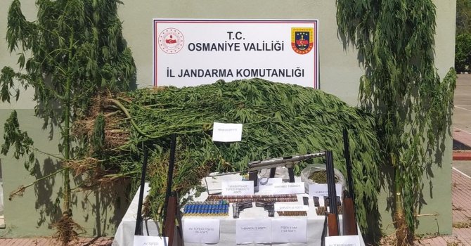 Osmaniye’de uyuşturucu operasyonuna 1 tutuklama