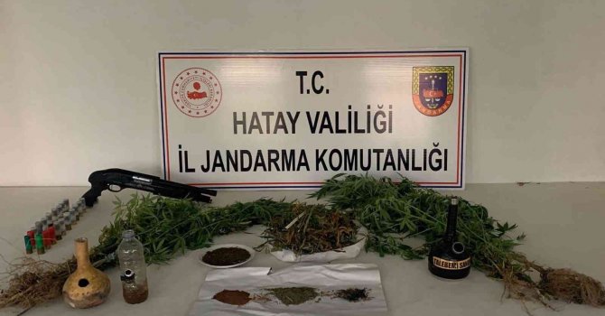 Evinde kubar esrar yetiştiren şüpheli gözaltına alındı
