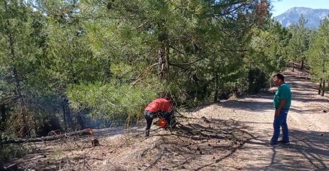 Adana’daki orman yangını