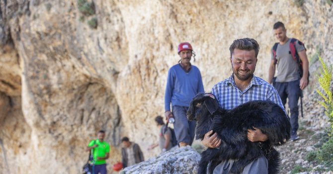 Mersin’de 15 metrelik obruğa düşen keçiyi itfaiye kurtardı