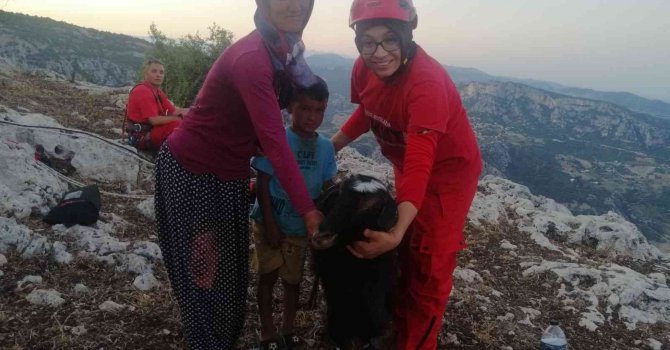 Kayalıklarda mahsur kalan 2 keçi, kurtarıldı