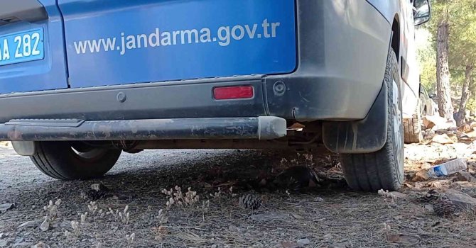 Orman yangınında yürek burkan görüntüler