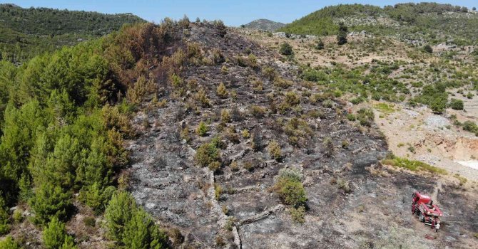 Tarladan makilik alana sıçrayan yangın ormana ulaşmadan söndürüldü